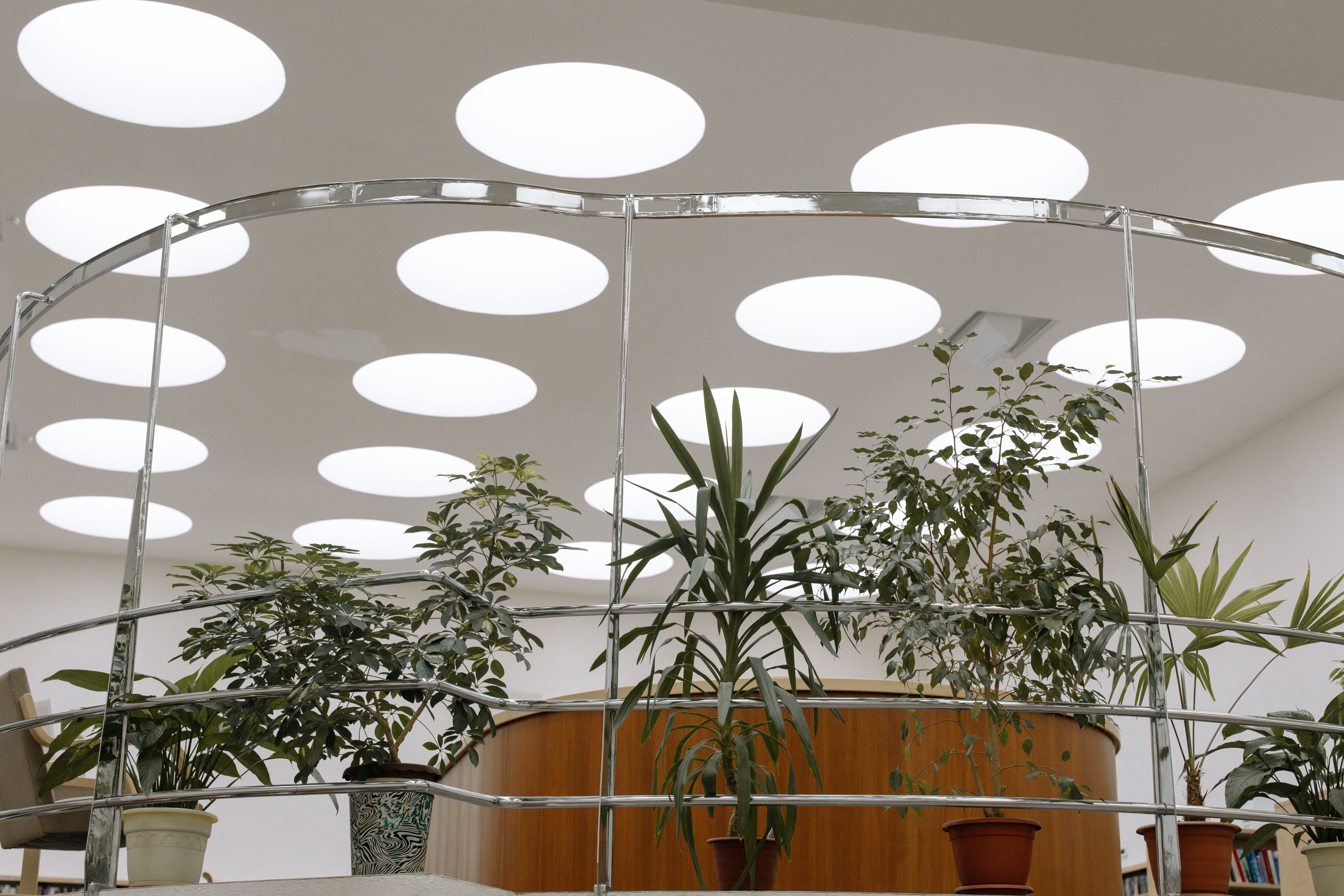 Bright office interior with green plants and large windows