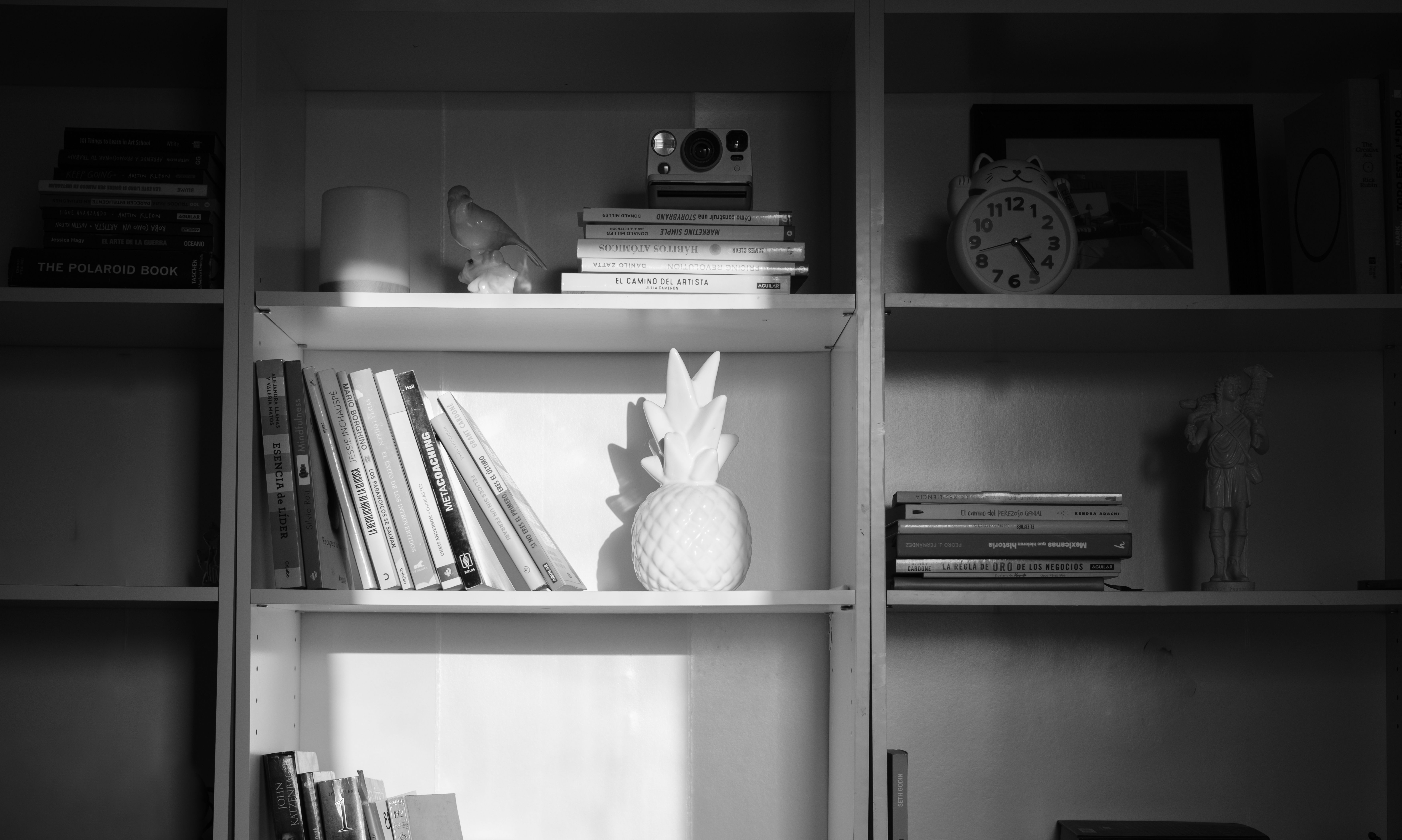 Stack of leather-bound ledgers on a shelf